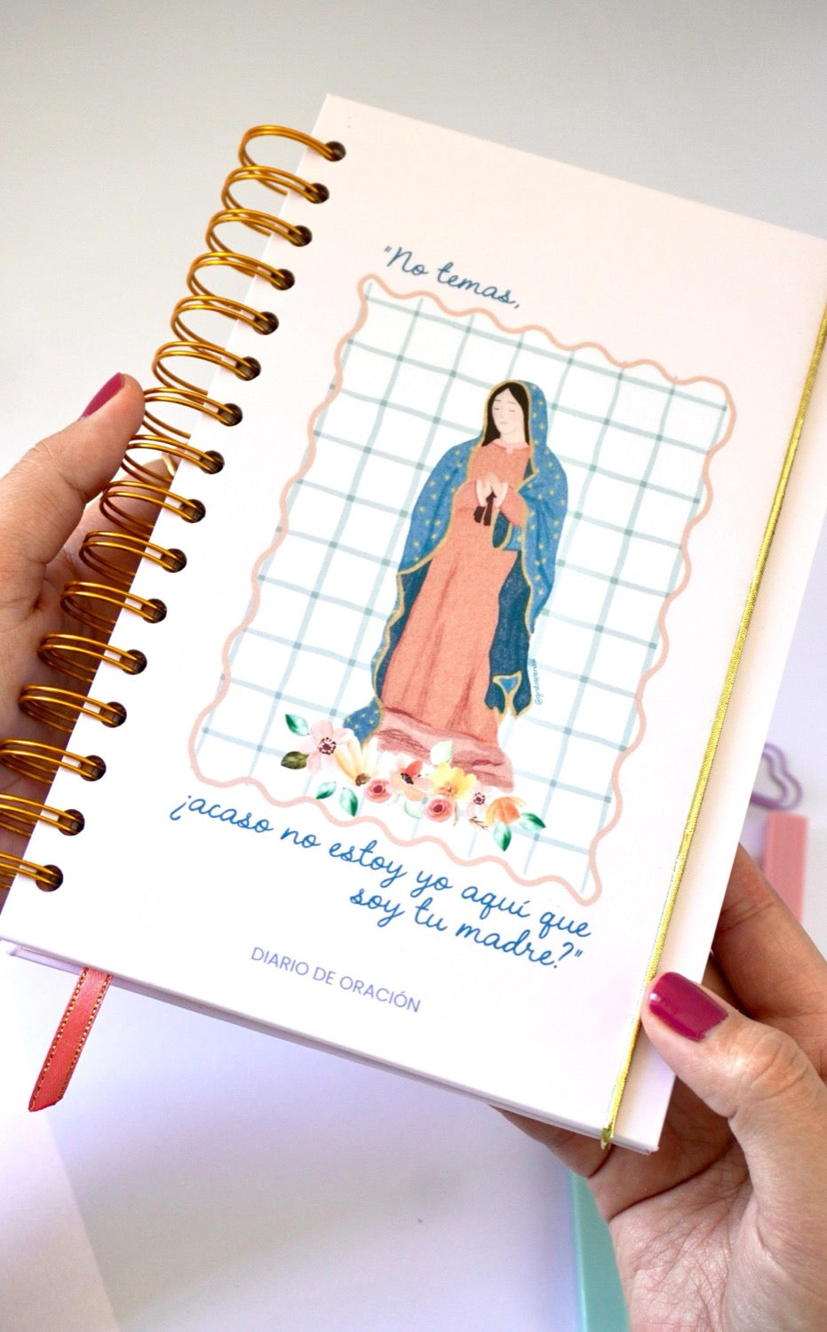 DIARIO VIRGEN DE GUADALUPE