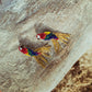 Aretes de guara