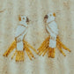 Aretes de cacatua
